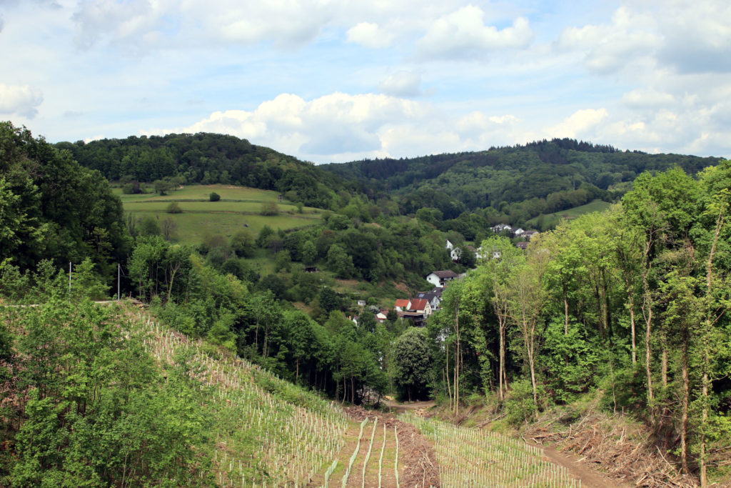Blick über den Odenwald