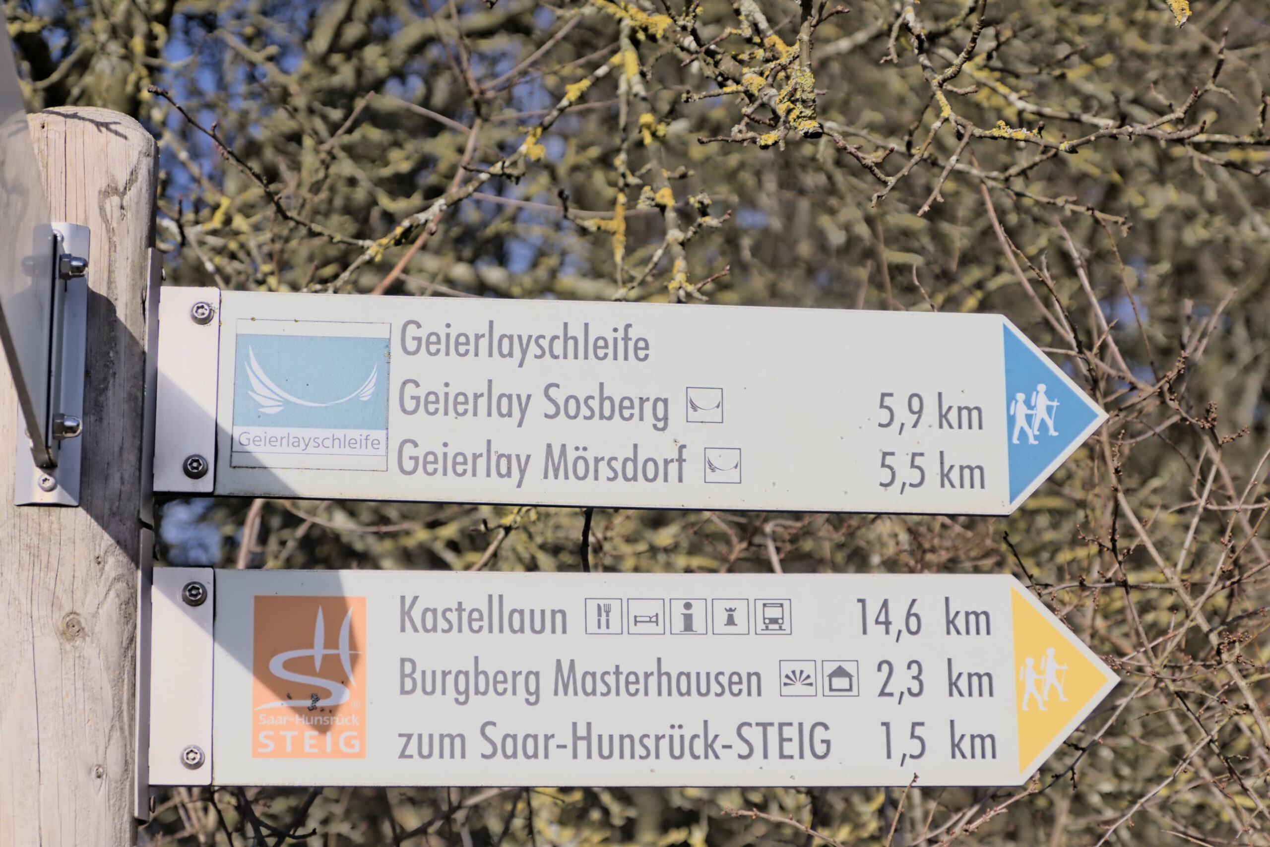 Überwindung und Naturgenuss: Ein unvergesslicher Tag an der Hängebrücke Geierlay
