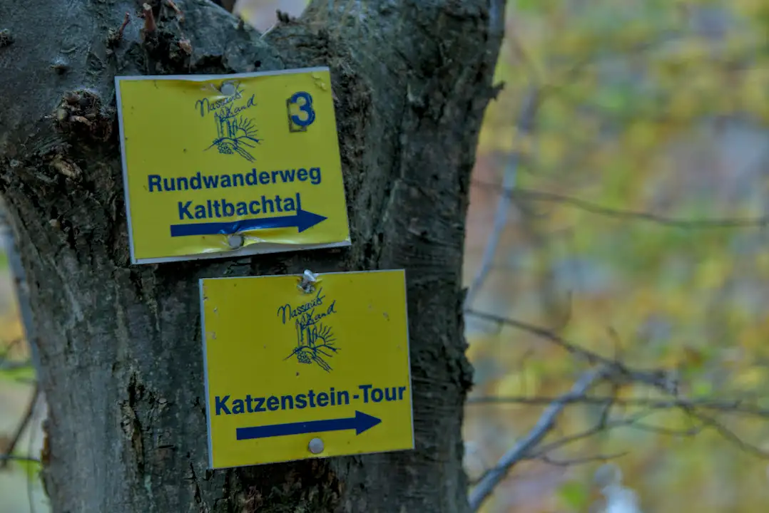 Im Reich des Nebels – Ein grandioser „Aussichts“-Tag auf dem Katzenstein