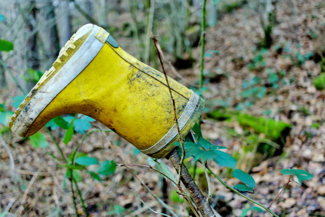 Vom Limeskastell bis zum Gummistiefel – eine Neujahrswanderung durch Matsch, Wald und Wahnsinn